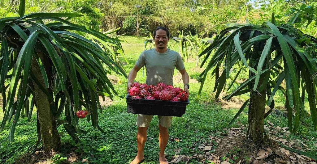 Farm Tourism in Coron with Coron Natural Farm